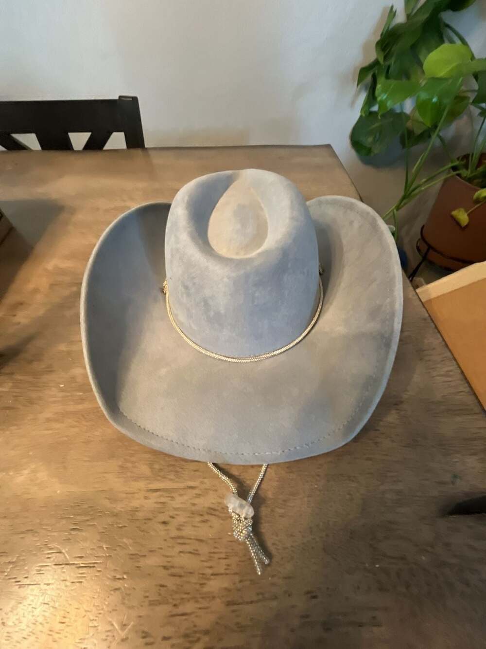 Rhinestone Rope Strap Cowboy Hat